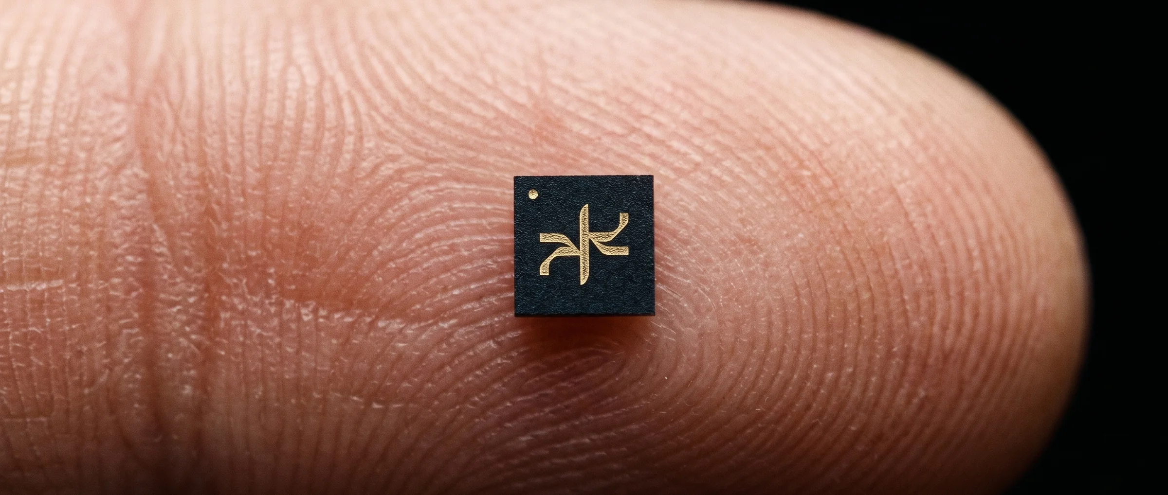 The D1, a black chip two millimetres across with the Dream Wave symbol in gold at its centre, resting alone on the ridges of a fingertip.
